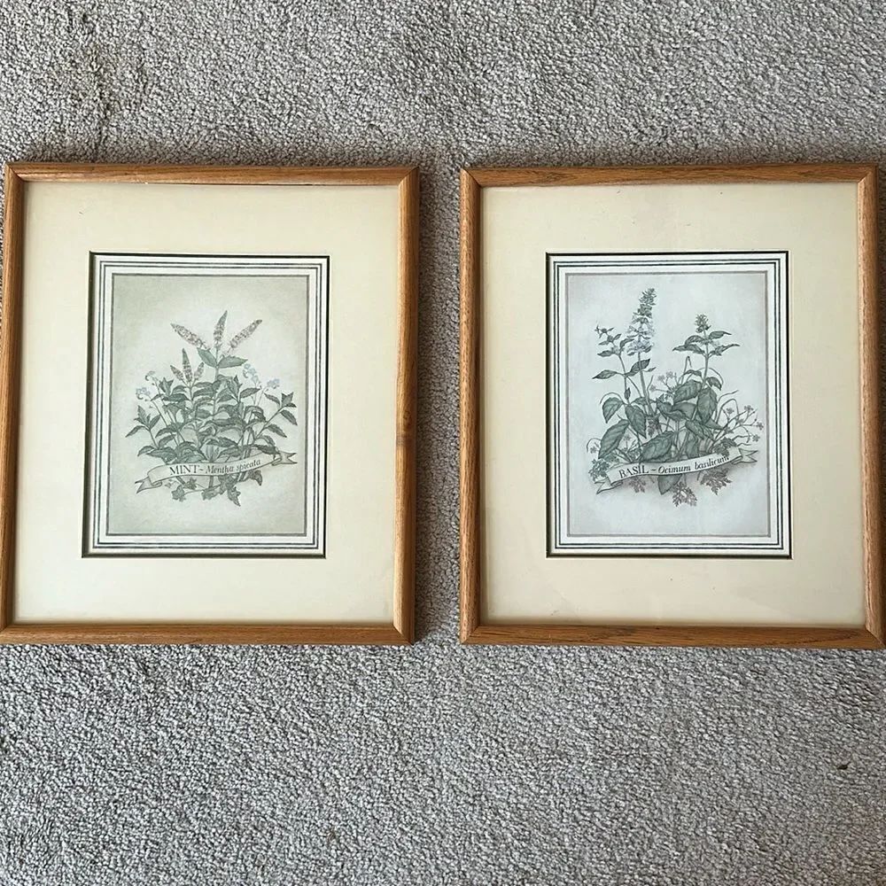 Herb Garden Framed Prints Set of Two!